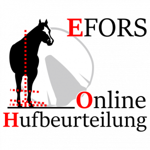 Online Hufberatung