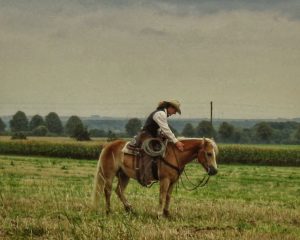 Toby Schuetgens Horsemanship & Western Horse Training