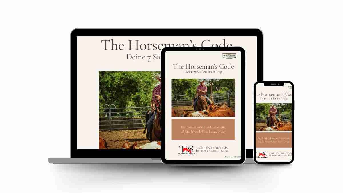 Deine 7 Säulen im Alltag - der 7 Wochen Plan