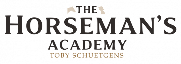 Video-Check: Individuelle Problemanalyse & Trainingsplan