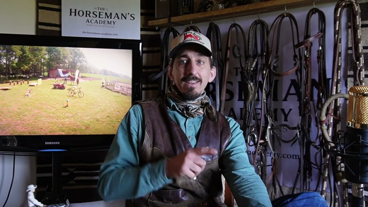 Tack Room Coffee #6: Pferd ist schreckhaft im Gelände