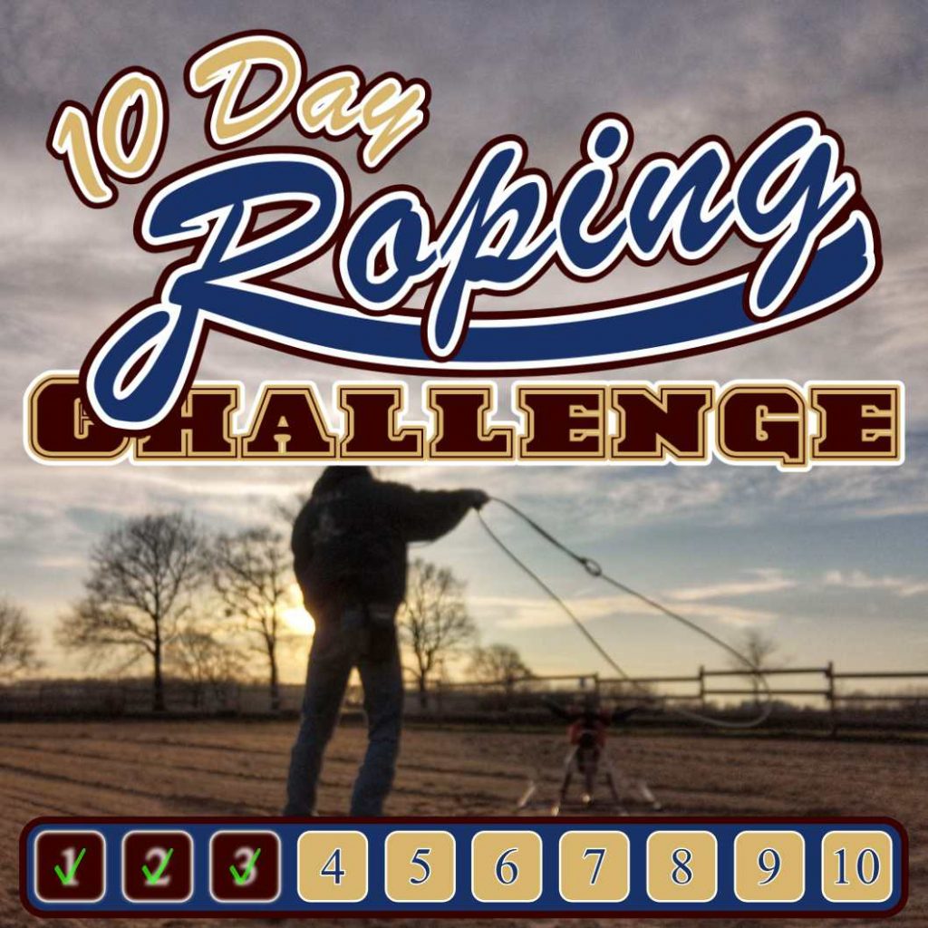 10 Day Roping Challenge